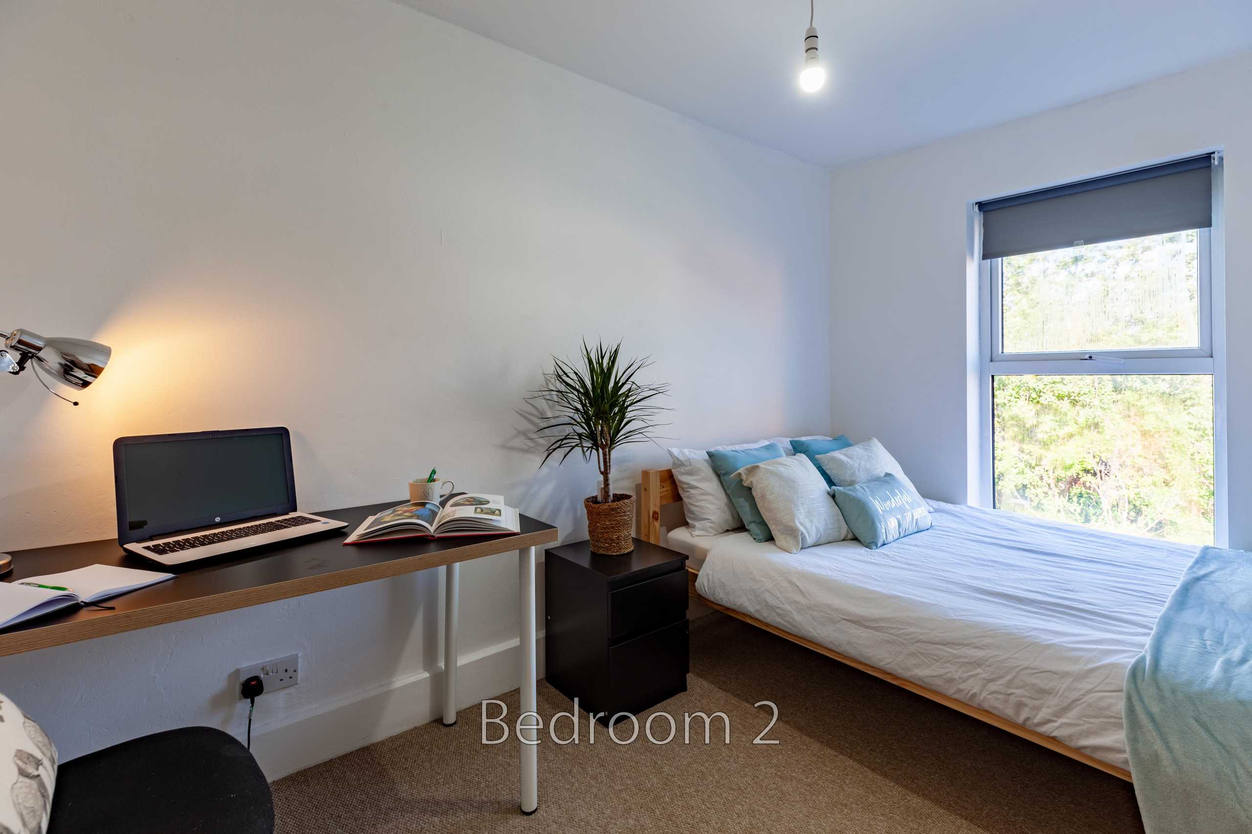 Room 2
