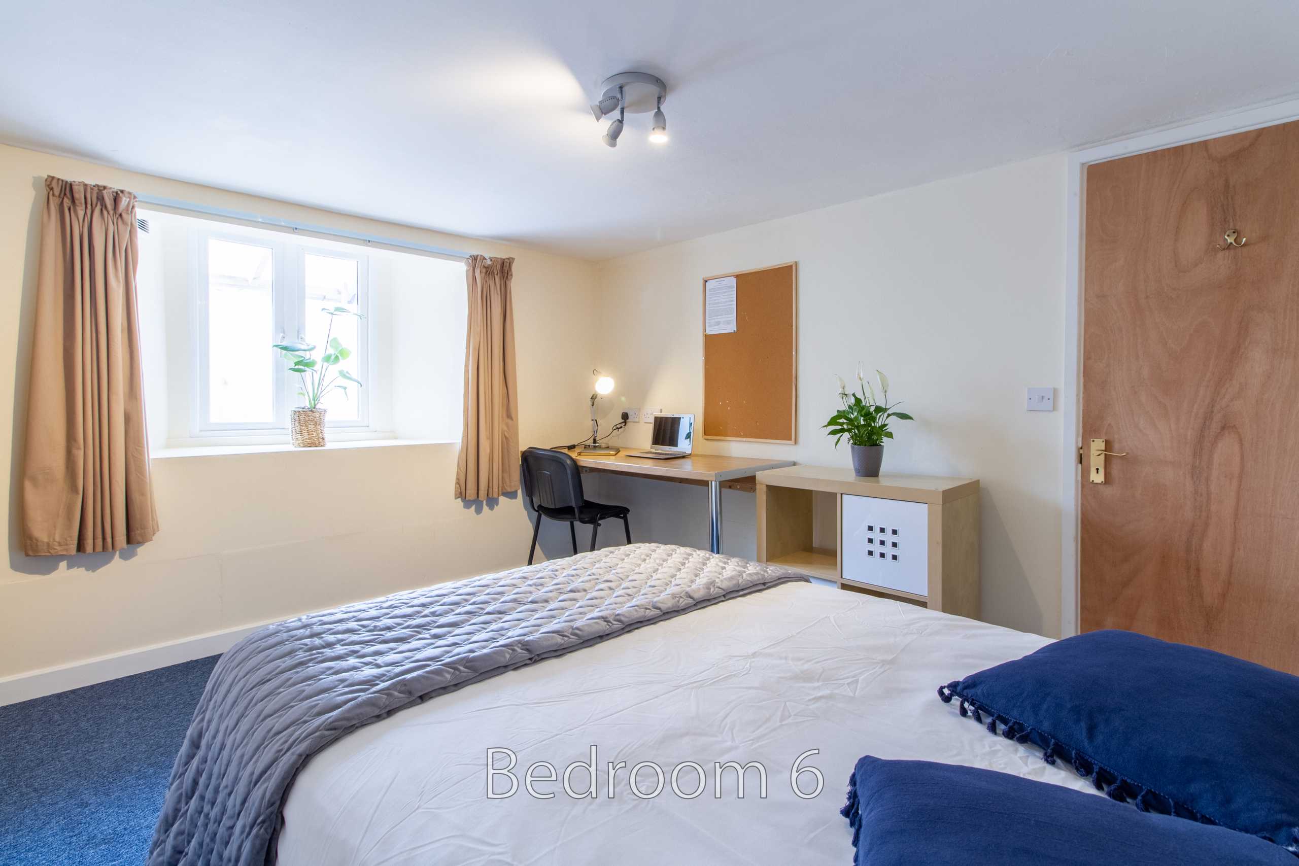 Room 6